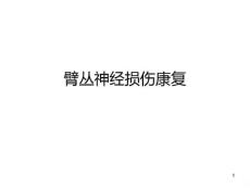 臂丛神经损伤康复PPT课件