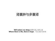 肾囊肿与多囊肾