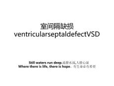 室间隔缺损ventricularseptaldefectVSD