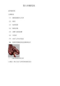阑尾炎概述