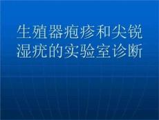 生殖器疱疹和尖锐ppt课件