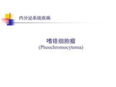 嗜铬细胞瘤ppt课件