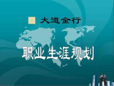 大道金行職業(yè)生涯規(guī)劃12