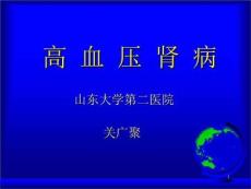 高血压肾病PPT课件