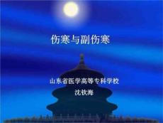 《伤寒与副伤寒》PPT课件