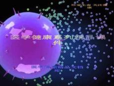 膝关节的各类损伤
