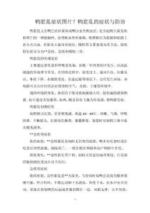 鸭霍乱症状图片？鸭霍乱的症状与防治