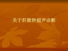 肝脓肿超声诊断
