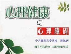 心理健康与心理障碍