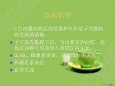 子宫腺肌病