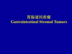 《胃肠道间质瘤》PPT课件