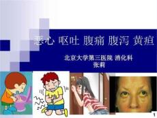 恶心呕吐腹痛腹泻黄疸课件