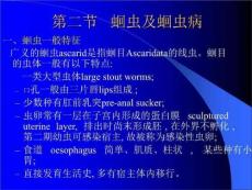 蛔虫及蛔虫病课件