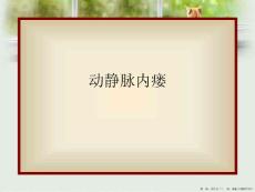 动静脉内瘘