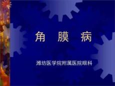 角膜病-教学课件