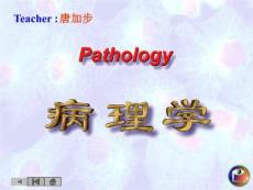 结核课件-结核病