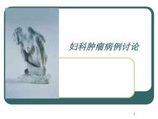 卵巢肿瘤病例讨论