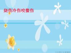 烧伤冷伤咬螫伤