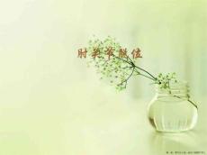 肘关节脱位