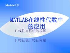 8-線性代數(shù)實驗