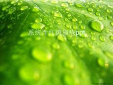系统性红斑狼疮ppt
