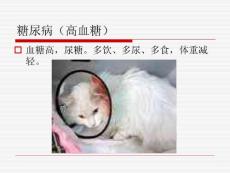 糖尿病糖尿病