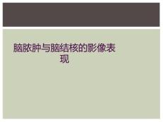 脑脓肿与脑结核的影像表现