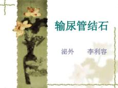 输尿管结石讲课