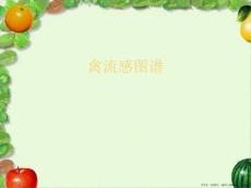 禽流感图谱
