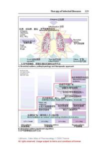 支氣管哮喘的治療