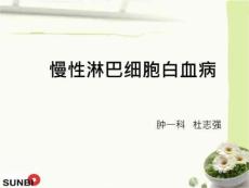 慢性淋巴细胞白血病PPT课件