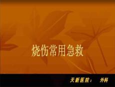 烧伤常用急救烧伤常用急救PPT课件