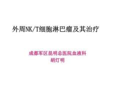 外周T细胞淋巴瘤及其治疗