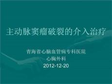 主动脉窦瘤破裂的介入治疗ppt课件