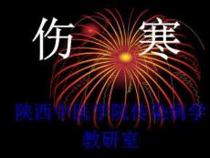 伤寒与副伤寒教材教学课件