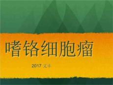 肾上腺嗜铬细胞瘤课件