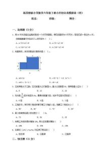 新蘇教版小學數學六年級下冊小升初全真模擬卷（四）（含答案）