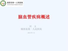 脑血管病概述