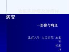 软组织肿瘤及肿瘤样病变杜湘珂