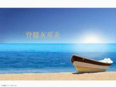 脊髓灰质炎