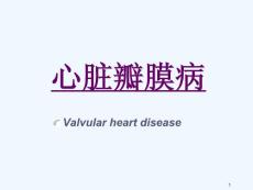 心脏瓣膜病教案