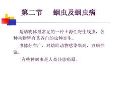 蛔虫及蛔虫病PPT课件