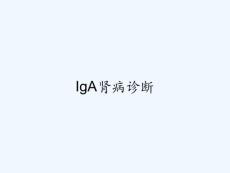 iga肾病诊断 ppt