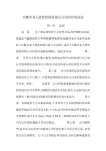 龍人投資擔(dān)保有限公司風(fēng)險(xiǎn)管理辦法范文