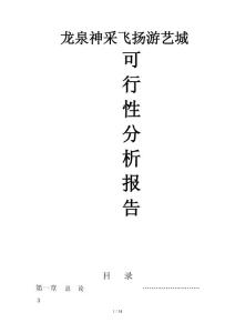 龍泉神采飛揚游藝城建設項目可行性分析報告