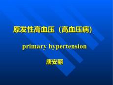 原发性高血压高血压病