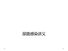 尿路感染讲义