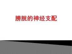 膀胱的神经支配