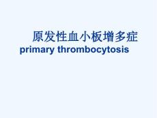 医学文库网原发性血小板增多症20页课件