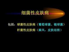 《脓疱疮护理》PPT课件